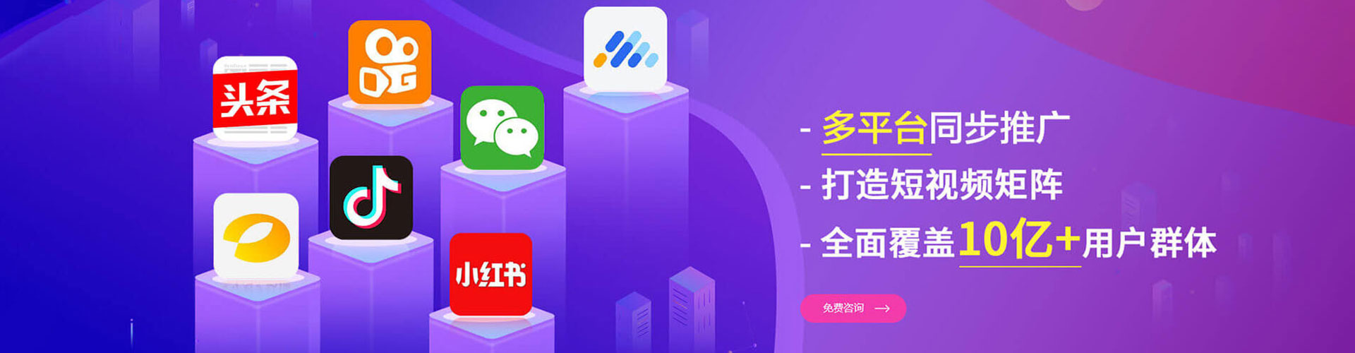 武强竞价开户